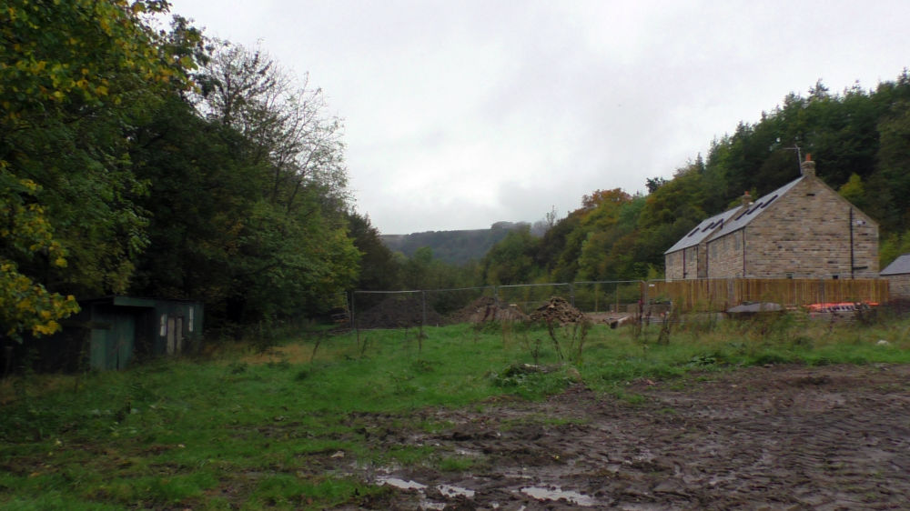 view of site of yard